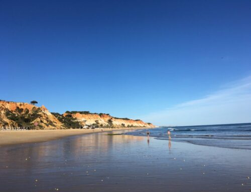 Vila Alcaria: Maison tout confort