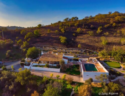 Quinta Kat= Wow