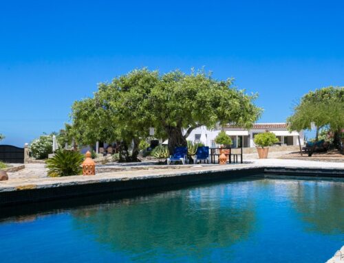 Oasis of well-being