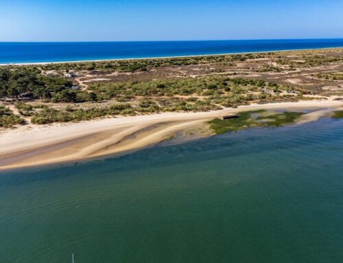 Vila Alcaria: TOP