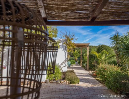 Casa Caranguejo: Gezellig huis met prachtige tuin.