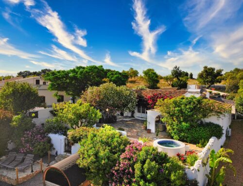 Fantastishe vakantie in Monte das Uvas