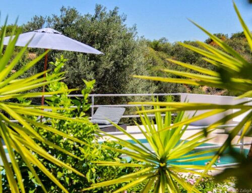 Casa Caranguejo: a lovely ambiance