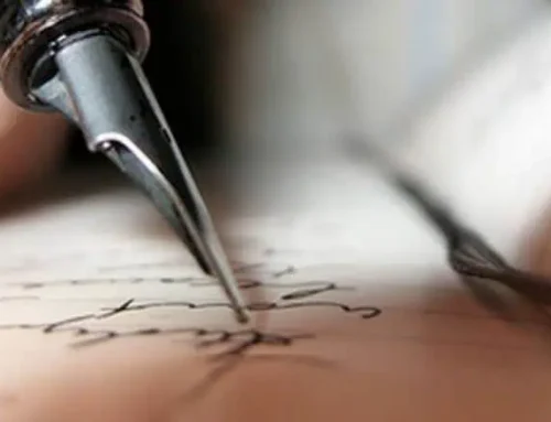 Quinta Kat gastenboek 2025