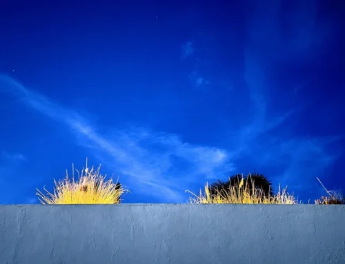 Welverdiende pluim voor Zalig Algarve